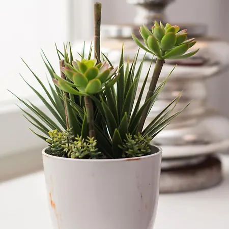 And Mountain Sesimbra